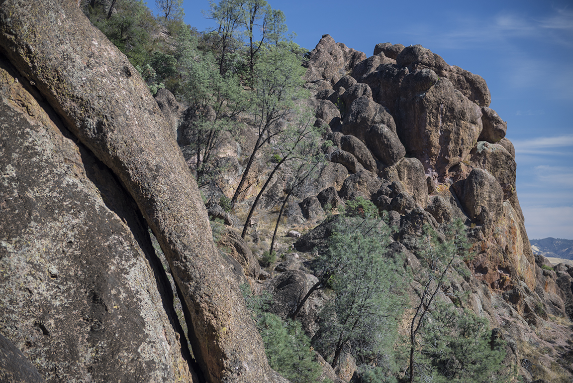 Stacks Image 48