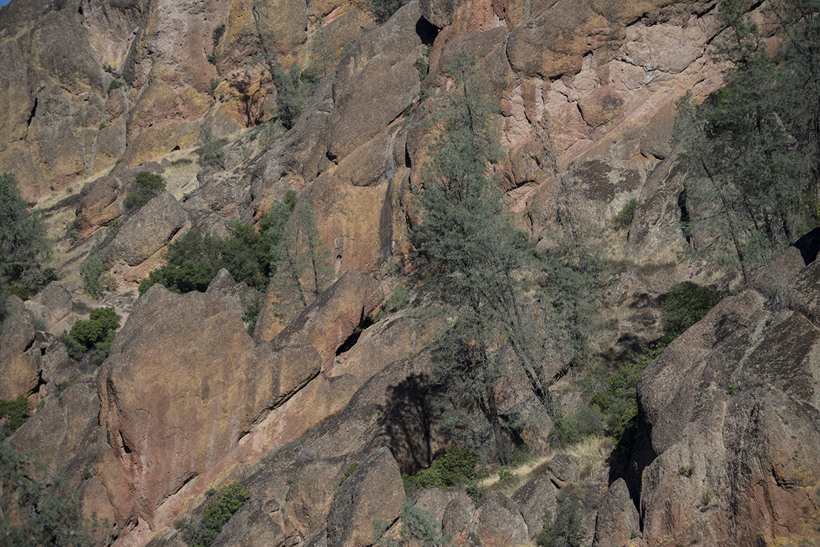Stacks Image 68
