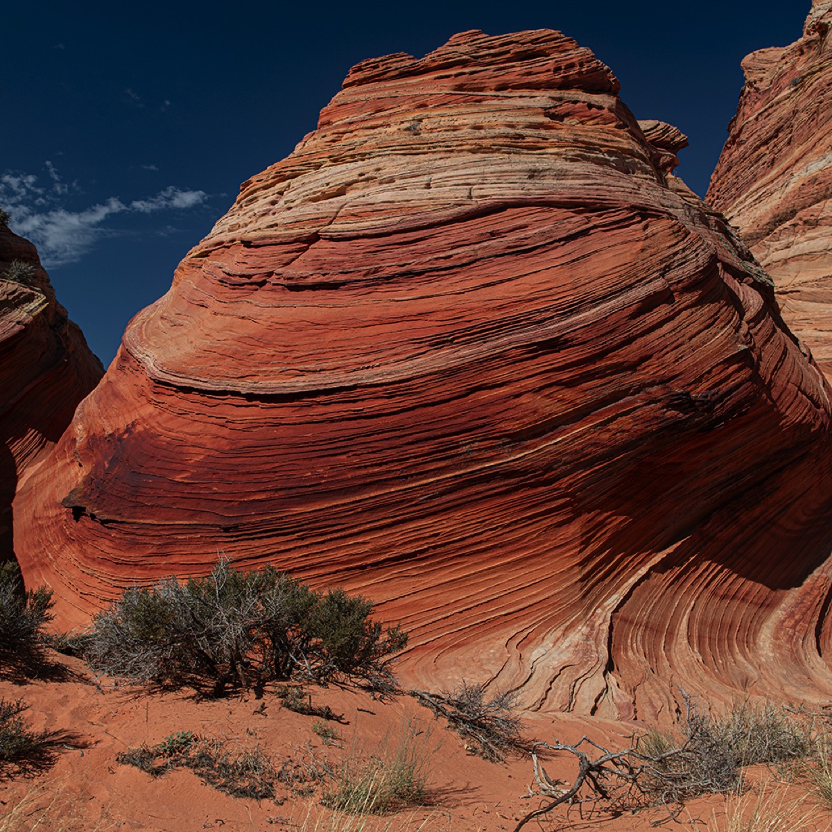 Stacks Image 352