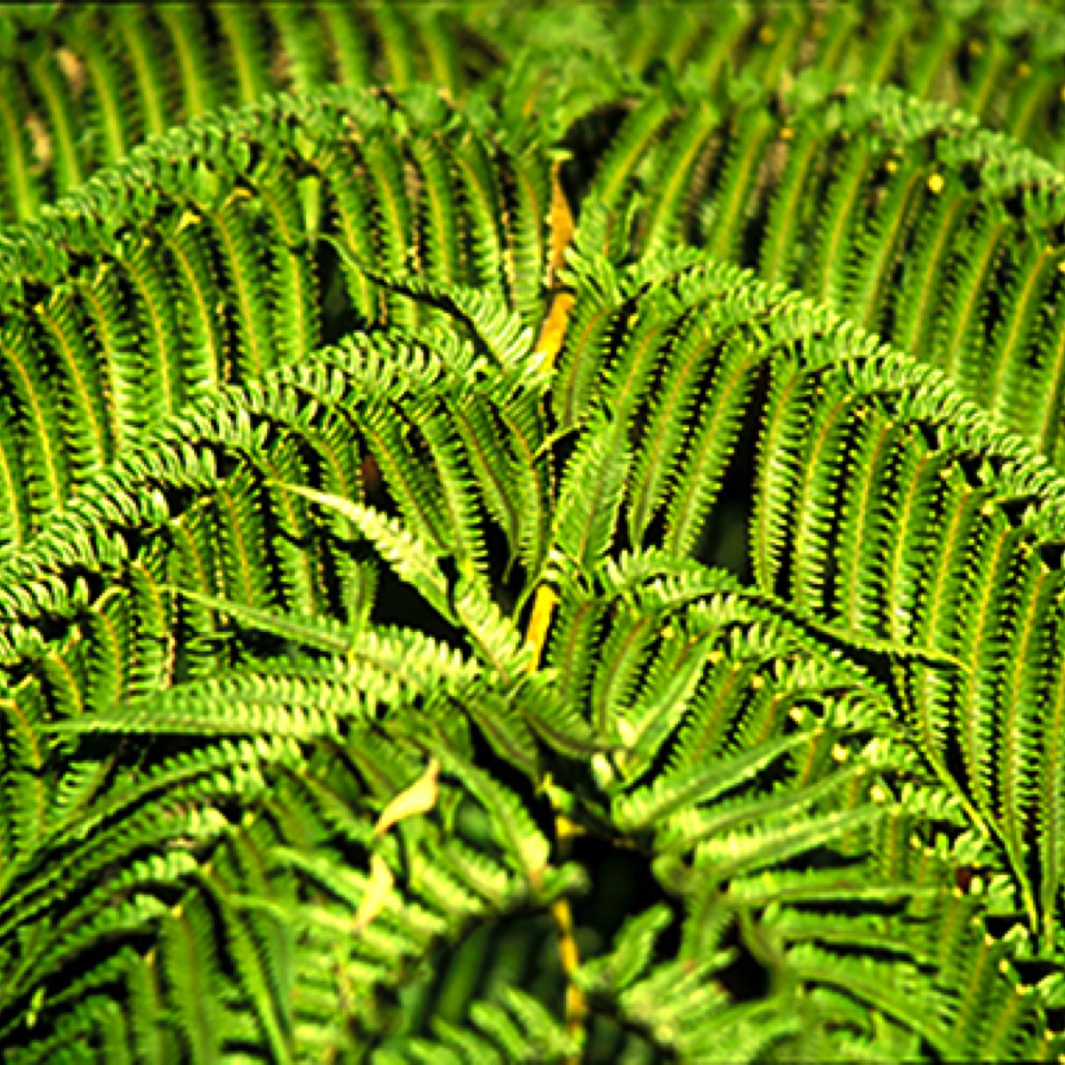 Stacks Image 7