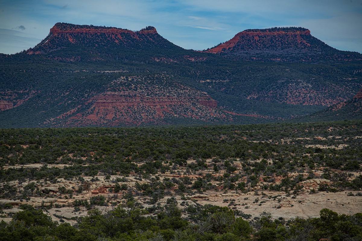 Stacks Image 276