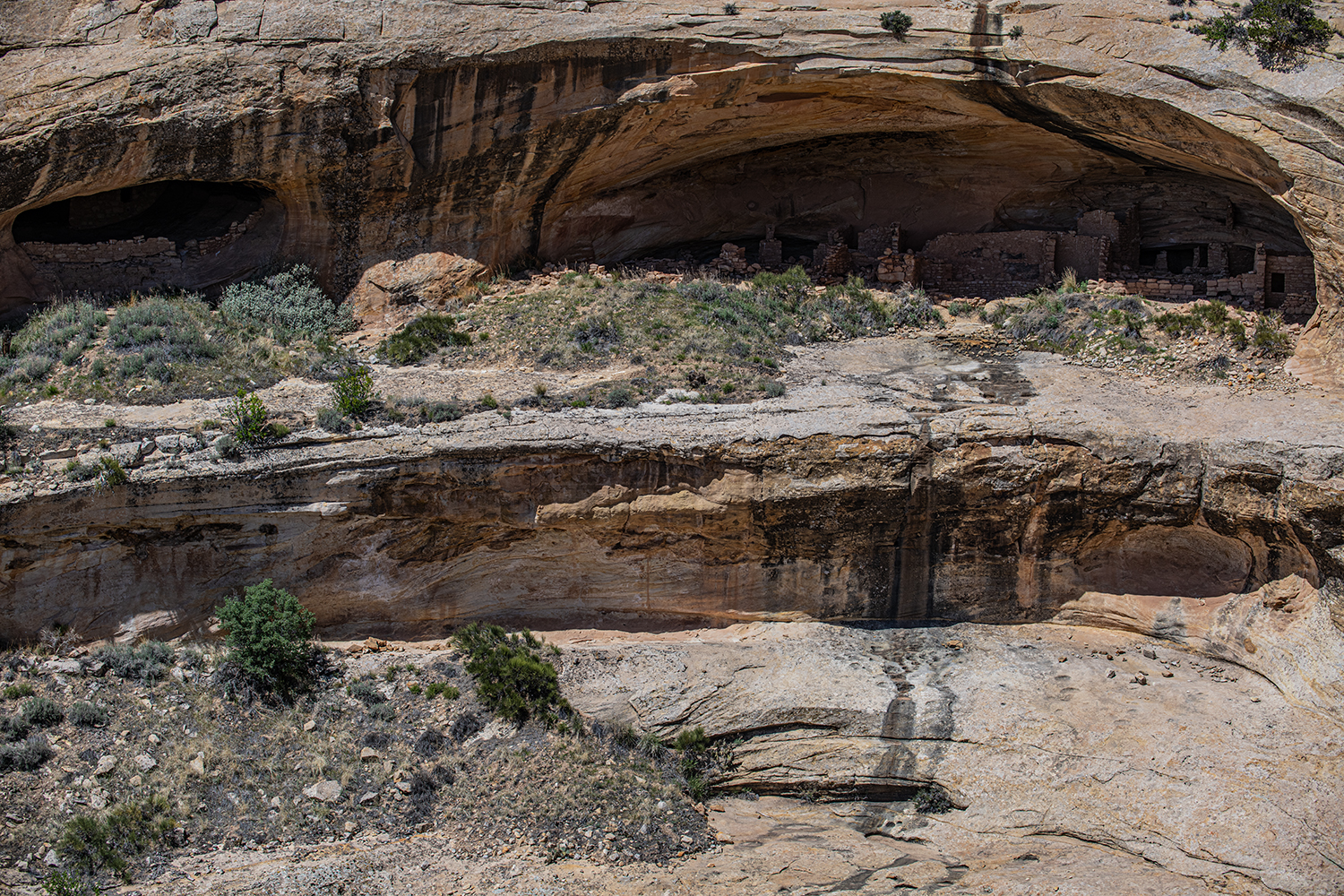 Bears Ears Views