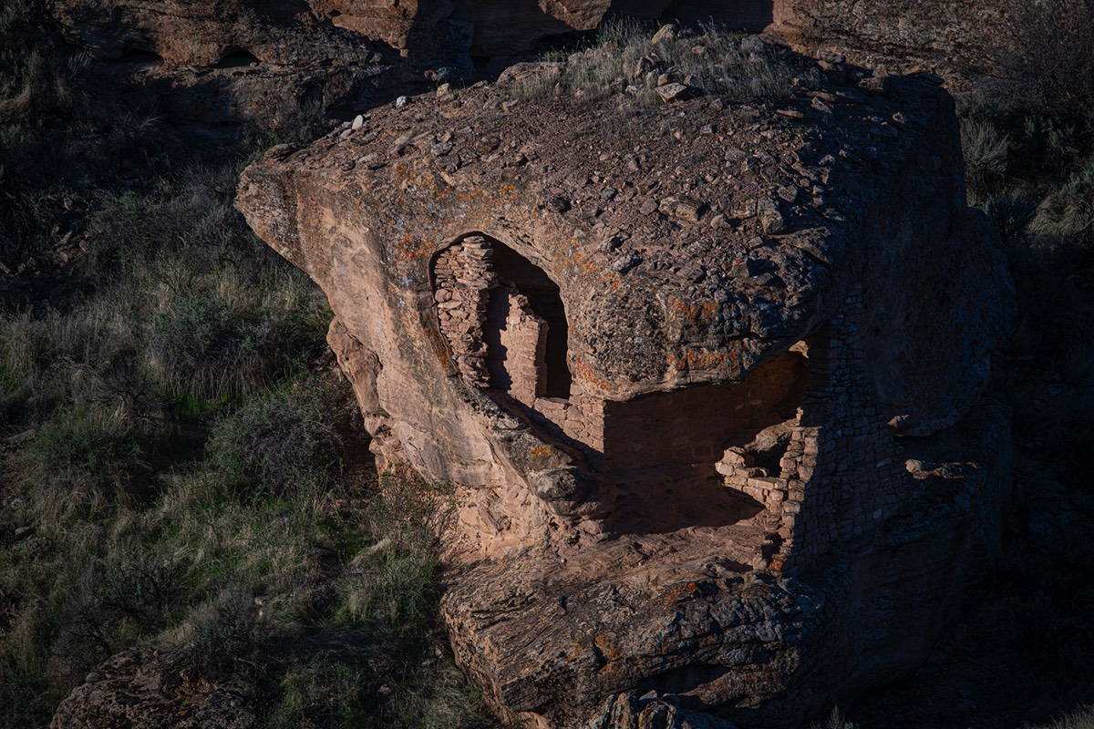 Stacks Image 5054
