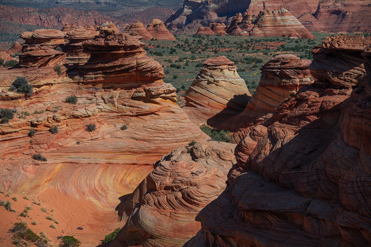 Stacks Image 5099