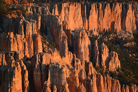 Stacks Image 7255