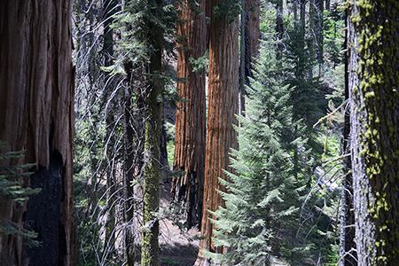 Stacks Image 8502