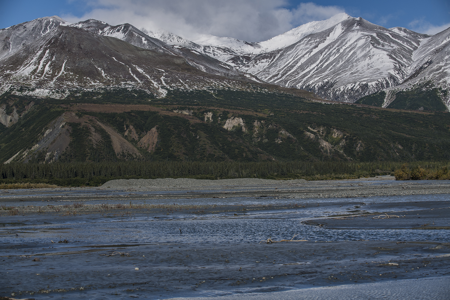 MWDSC_7374