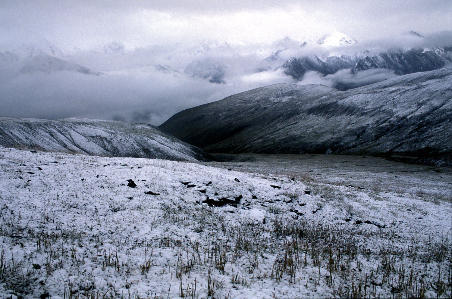 Saddle Snowscape