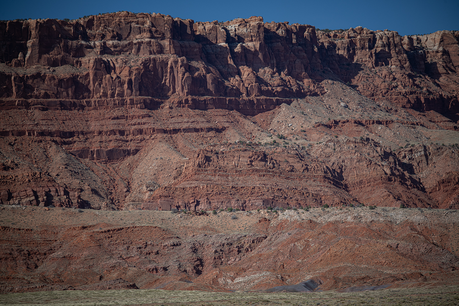 MWDSC_6757