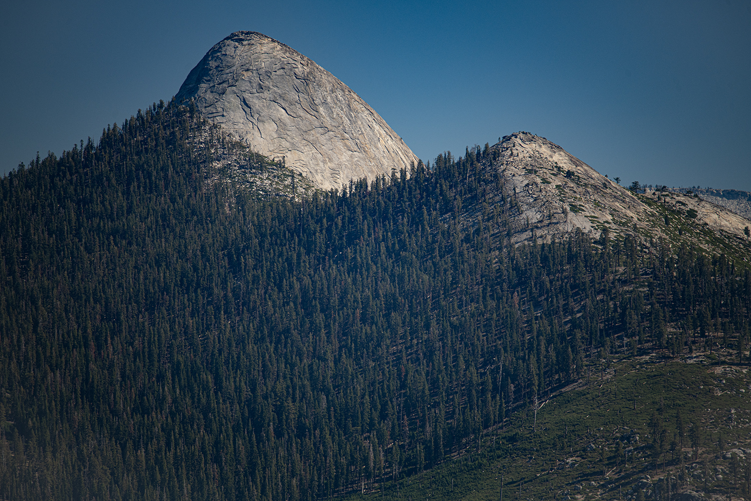 MWDSC_3929