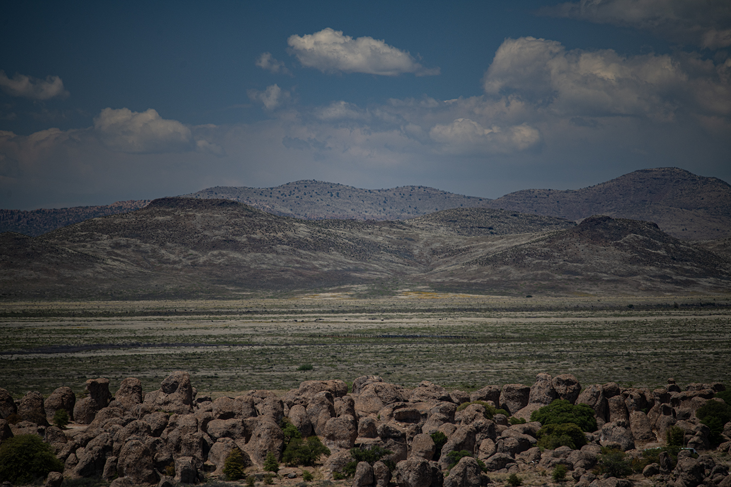 MWDSC_8162
