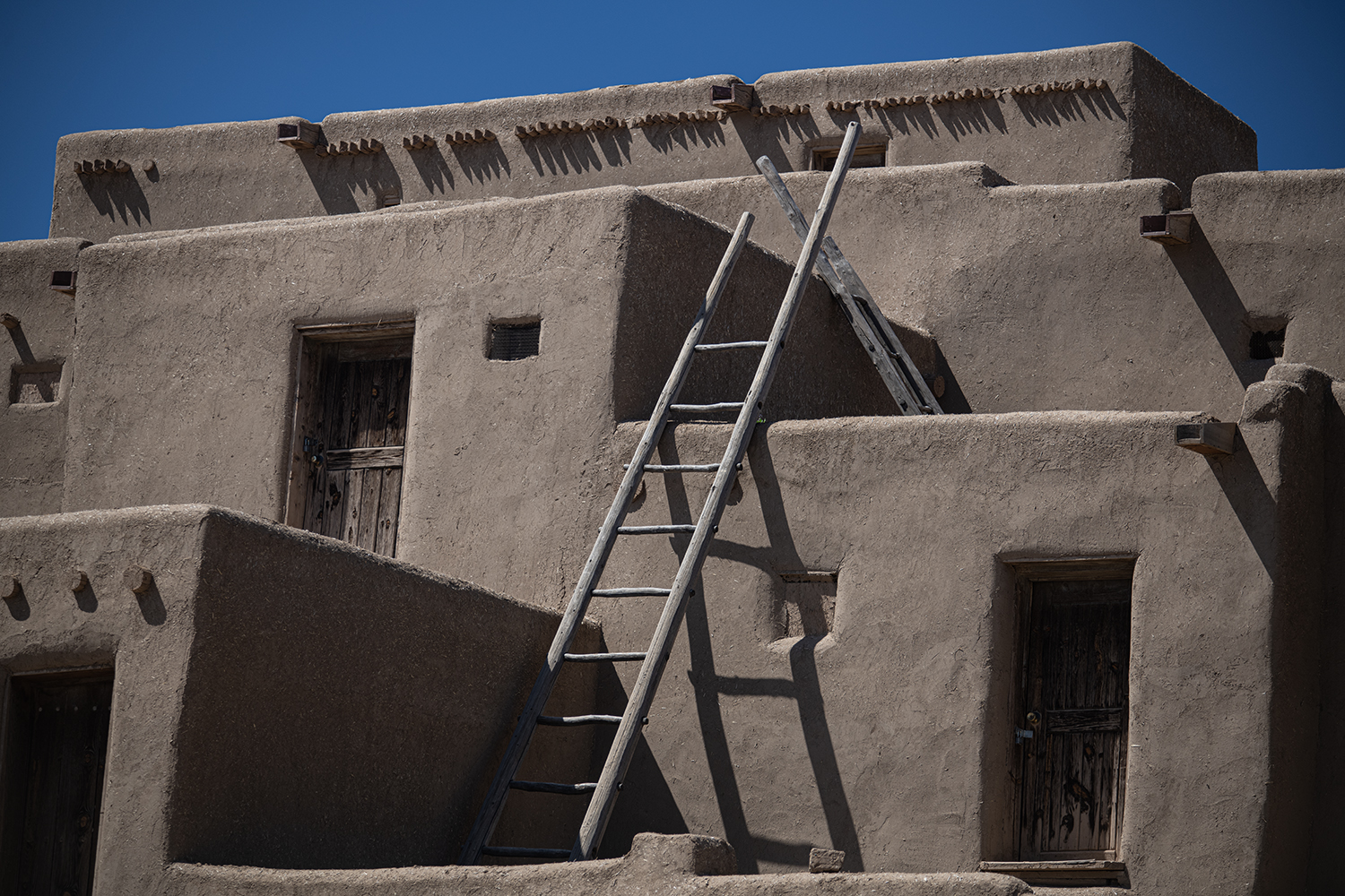 MWDSC_7330