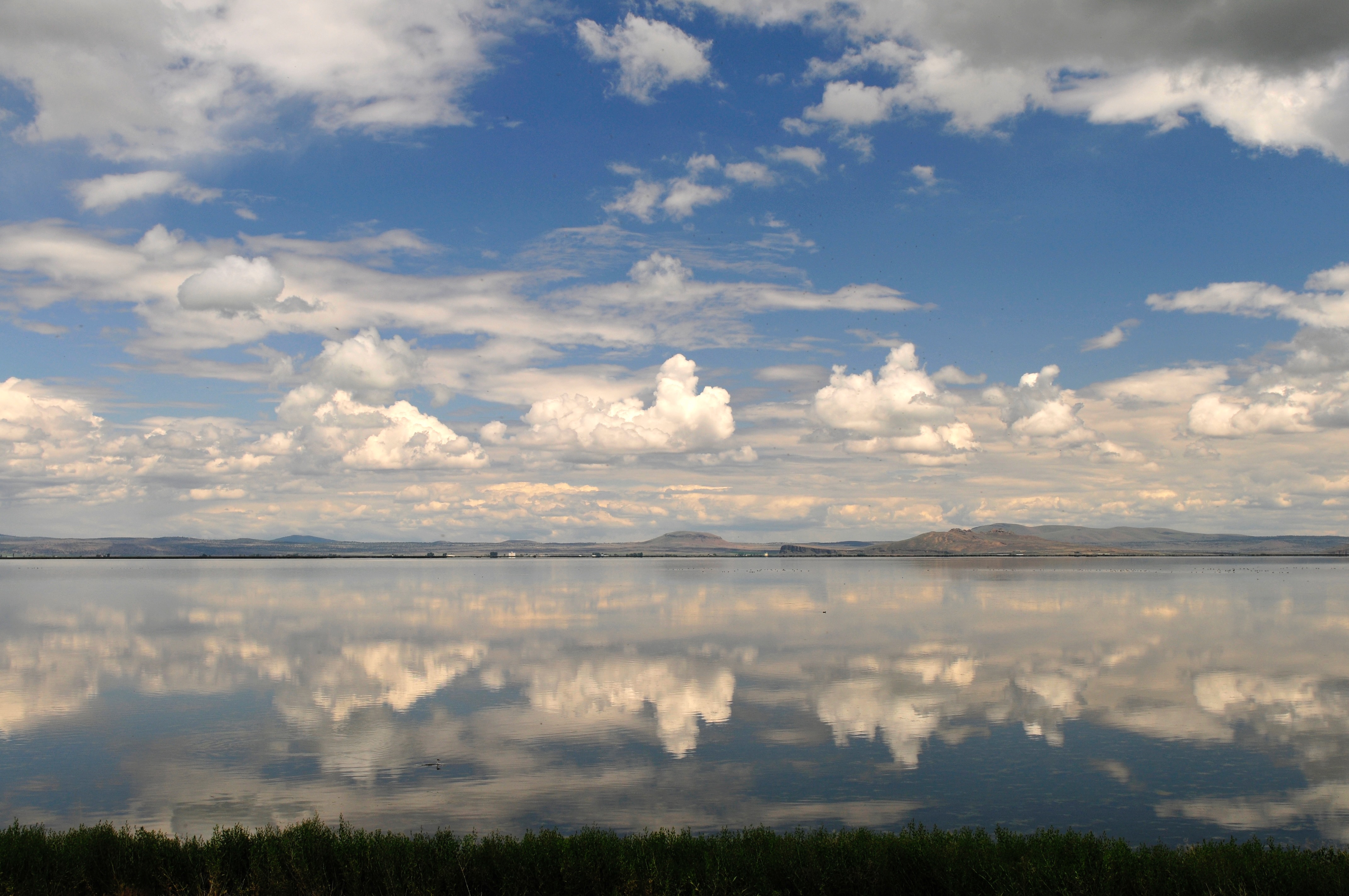 TuleLake2598