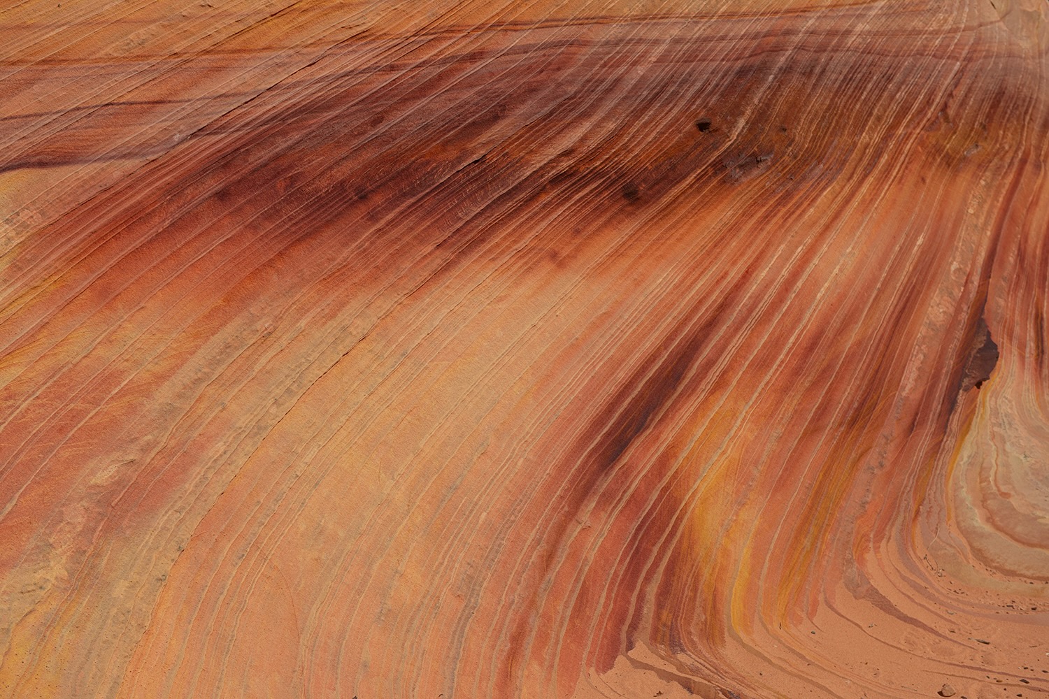 MWDSC_5016