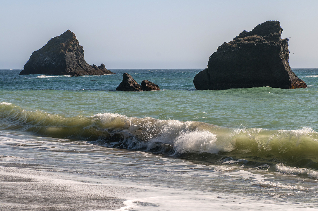 Mendocino Headlands SP, CA