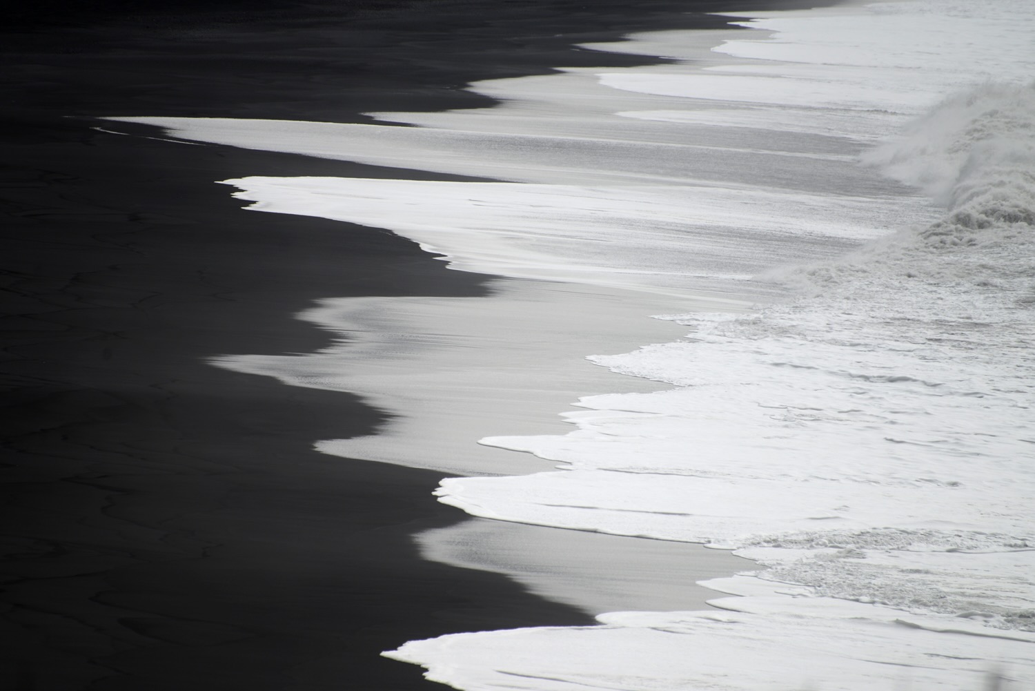 MWDSC_4014