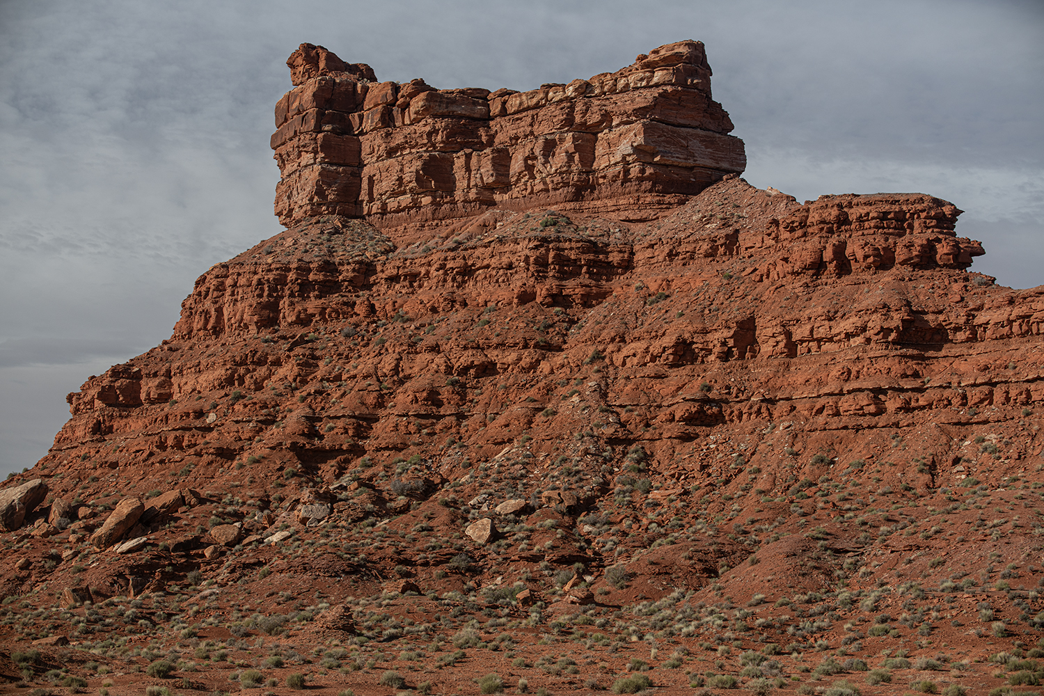 MWDSC_6831