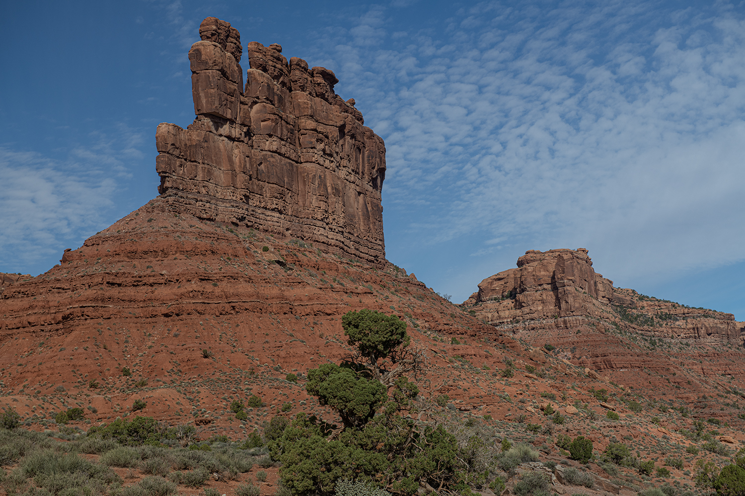 MWDSC_6907