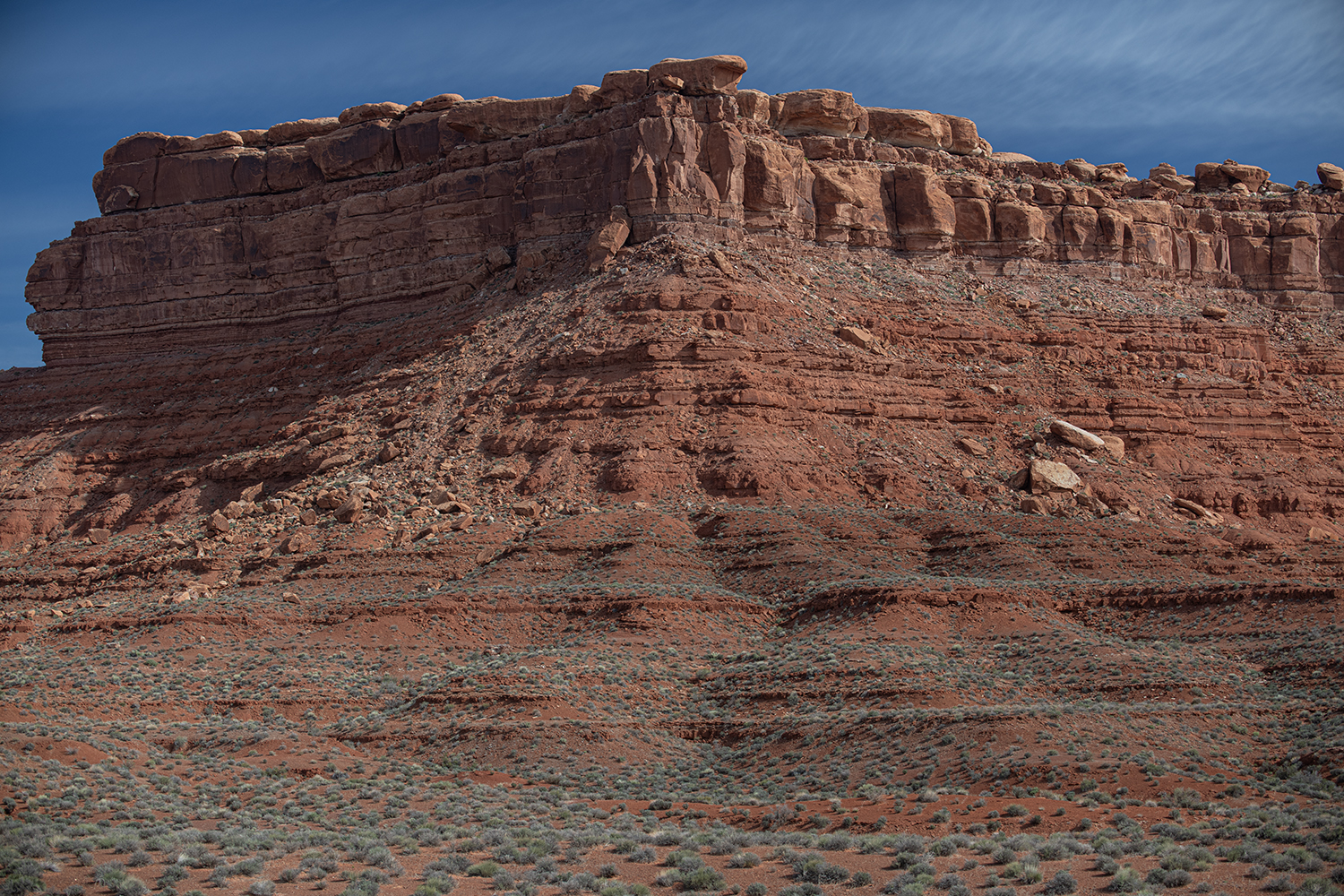 MWDSC_6956